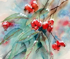 Ann Mortimer - Anemones - Canvas Prints