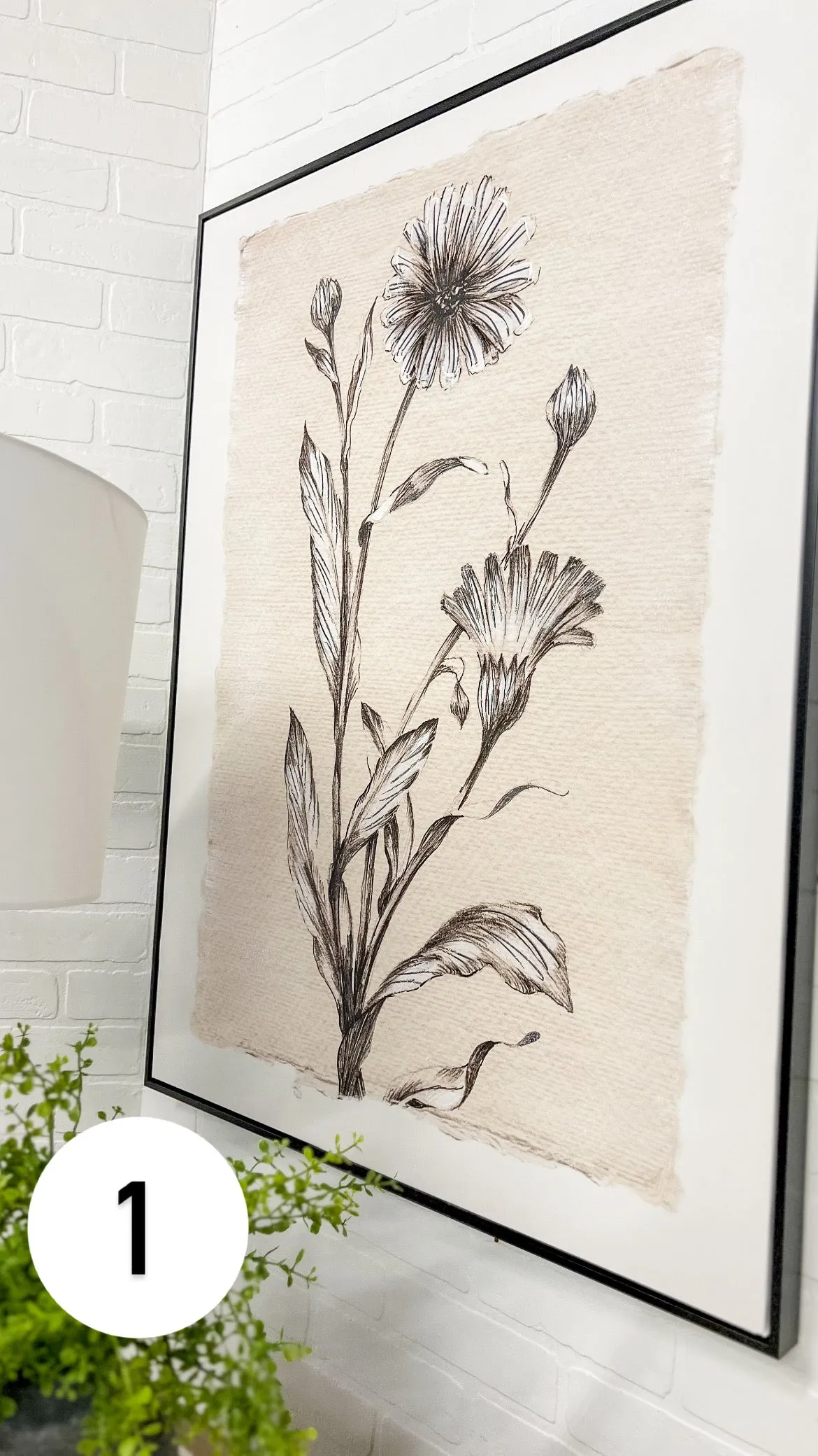 Diederick Prints