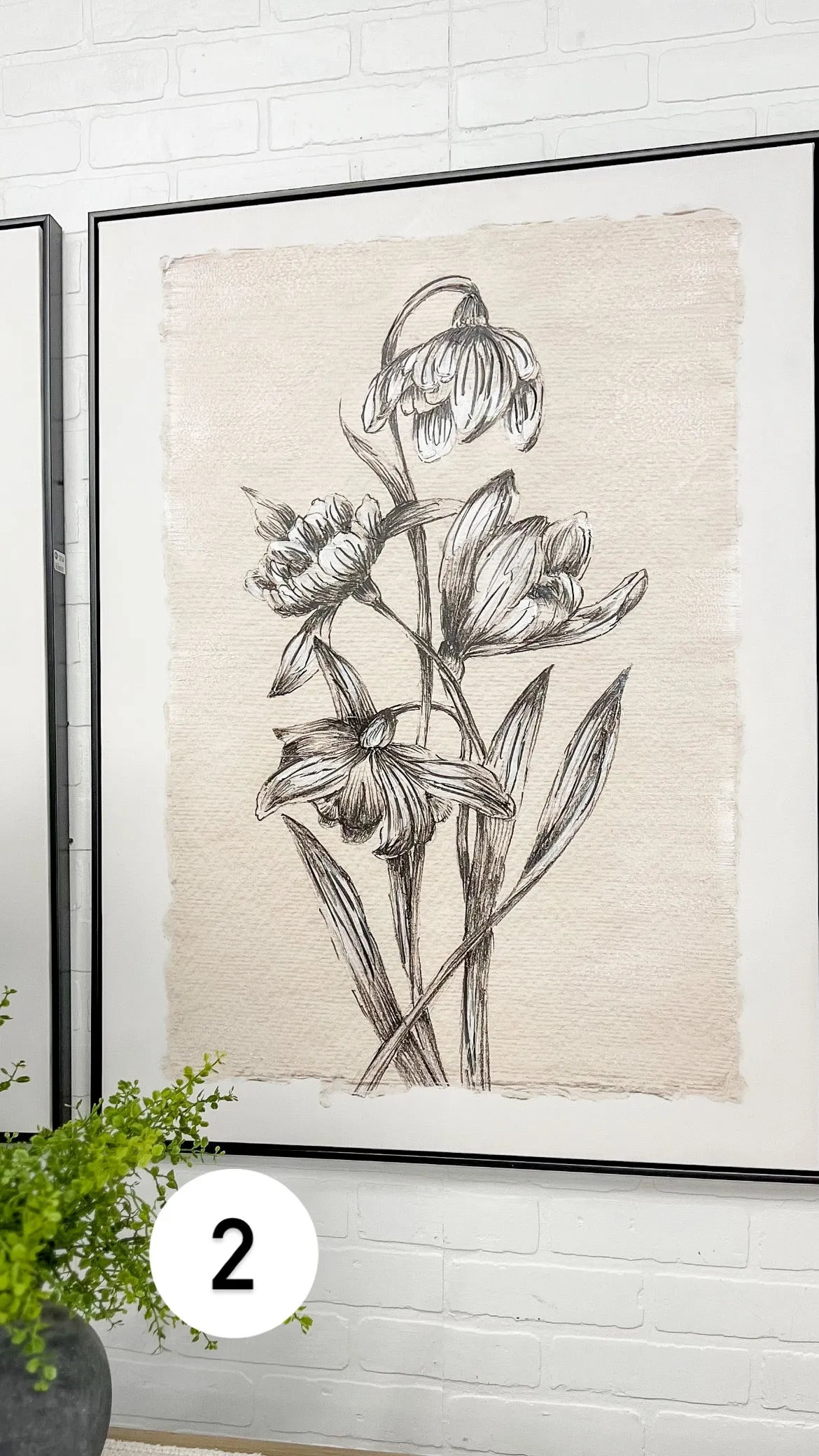 Diederick Prints
