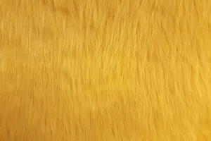 F1: Tweety Yellow Faux Fur - 41 SOLD OUT