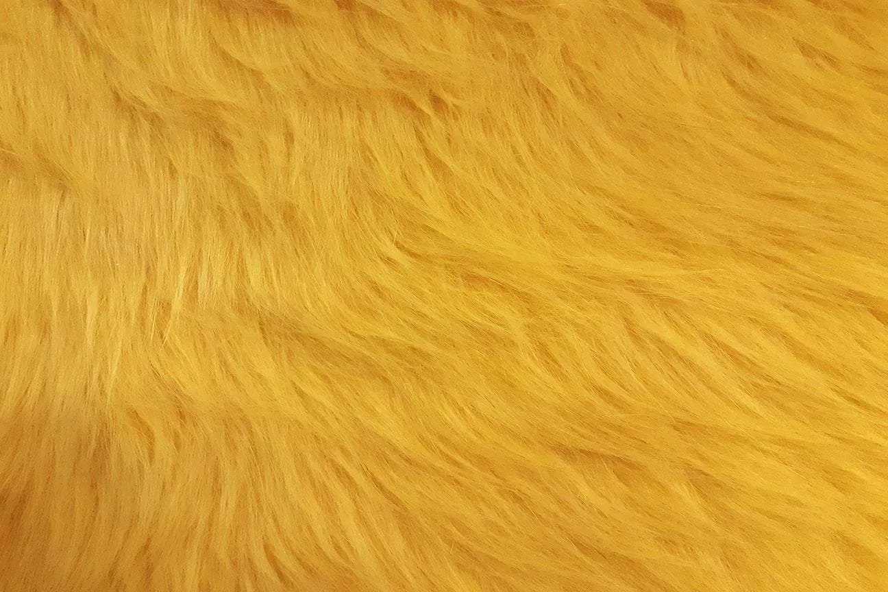 F1: Tweety Yellow Faux Fur - 41 SOLD OUT