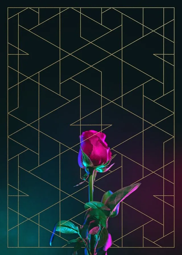 Rose Print
